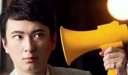 吃瓜娱乐王思聪是谁啊,吃瓜娱乐界风云人物——王思聪传奇